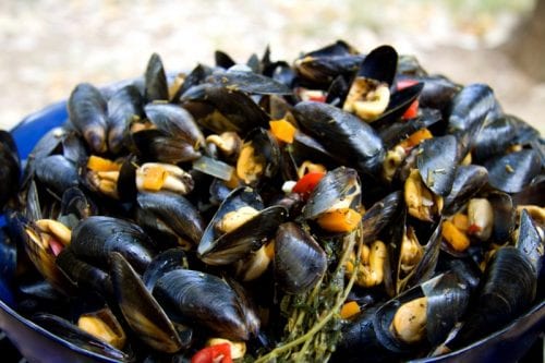 CYJ_Portofino_Mussels