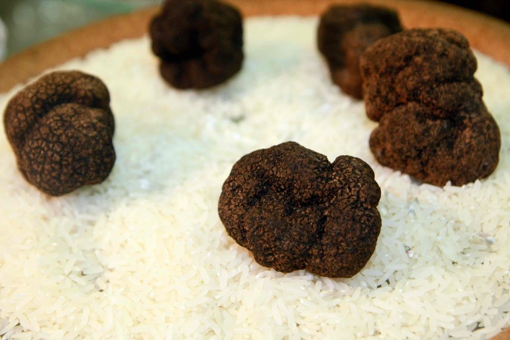 black truffle 
