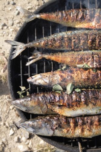 Vila_Joya_grilled_bass