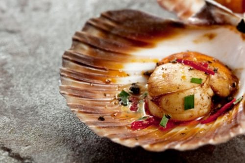 Christmas CYJ - scallop_crudo