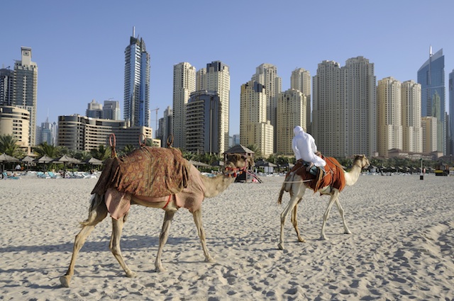 Dubai - Camel riding on beach