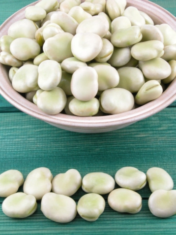 ROME cyj - fava beans