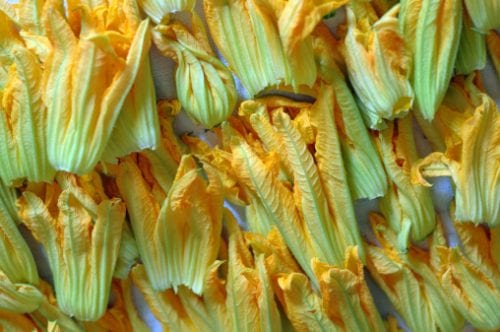 Zucchini Flowers with Mascarpone, Capers, Basil, and Balsamic