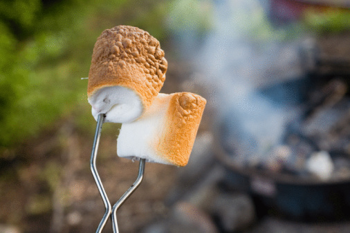 CYJ_Campfire_MarshmallowCookies