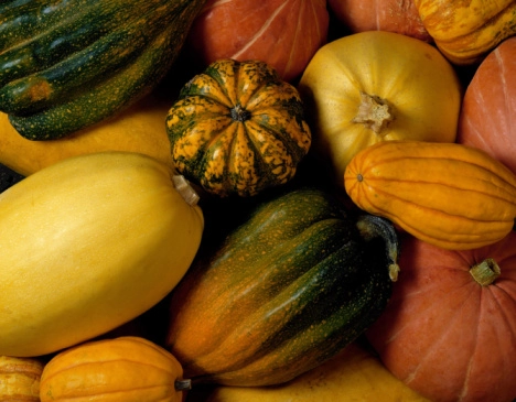 CYJ_Decemberingredient_wintersquash