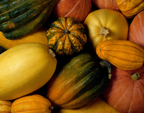 CYJ_Decemberingredient_wintersquash