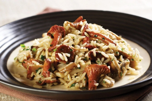 Chanterelle and Parmesan Risotto