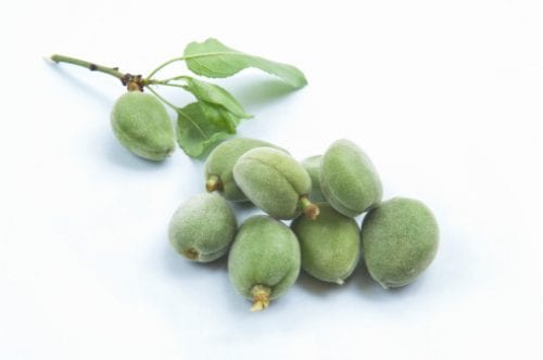 Green Almonds