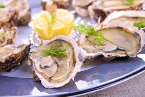 Oysters