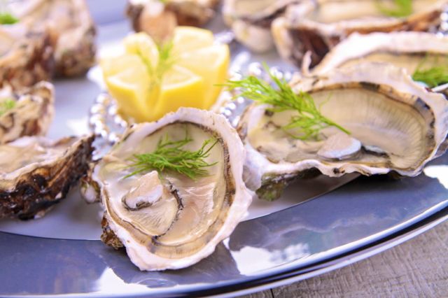 Oysters