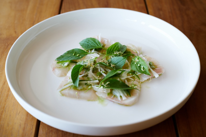 sashimi of cobia1