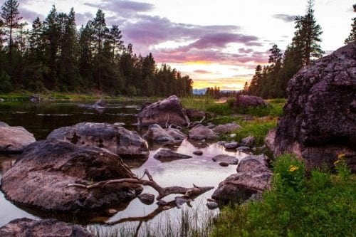 the resort at paws up2