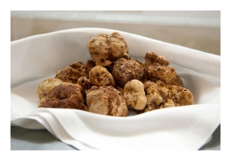 truffles2