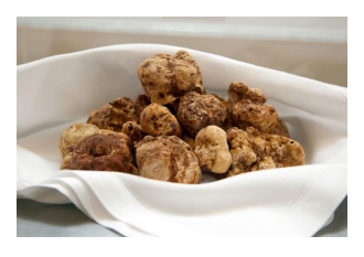 truffles2