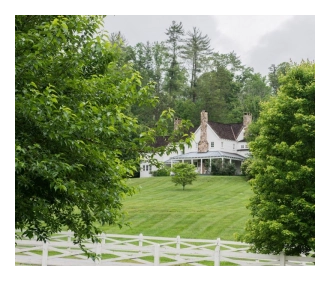 Top Summer Blackberry Farms