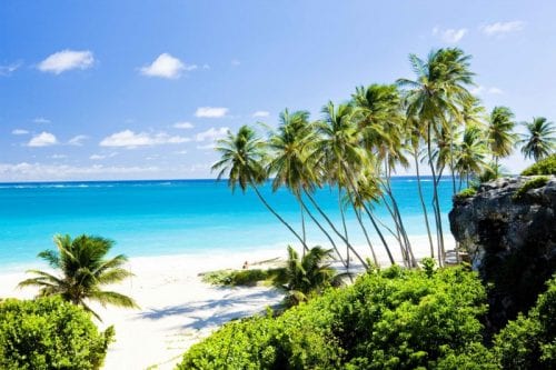 Travel Buzz Barbados