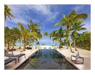Pool lined with palm trees facing the ocean. 