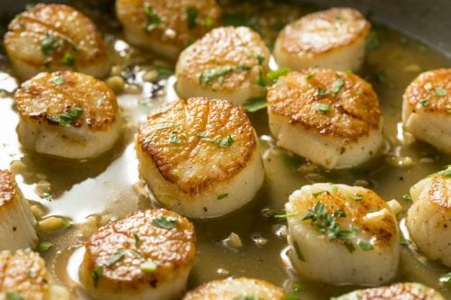 Seared Sea Scallops