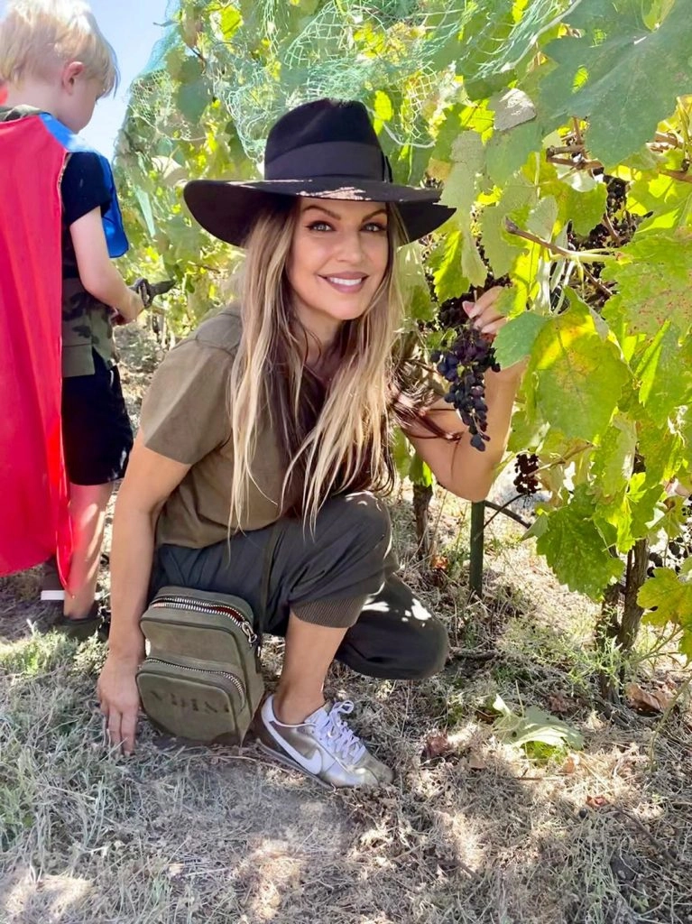 fergie vineyard 