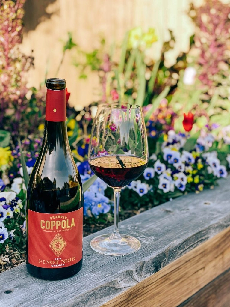 coppola wine vineyard