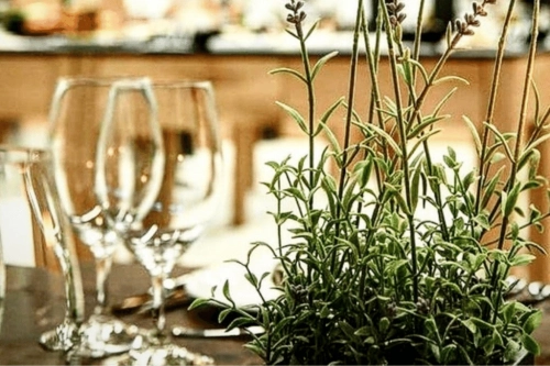 Cooking Schools Around the World-feature