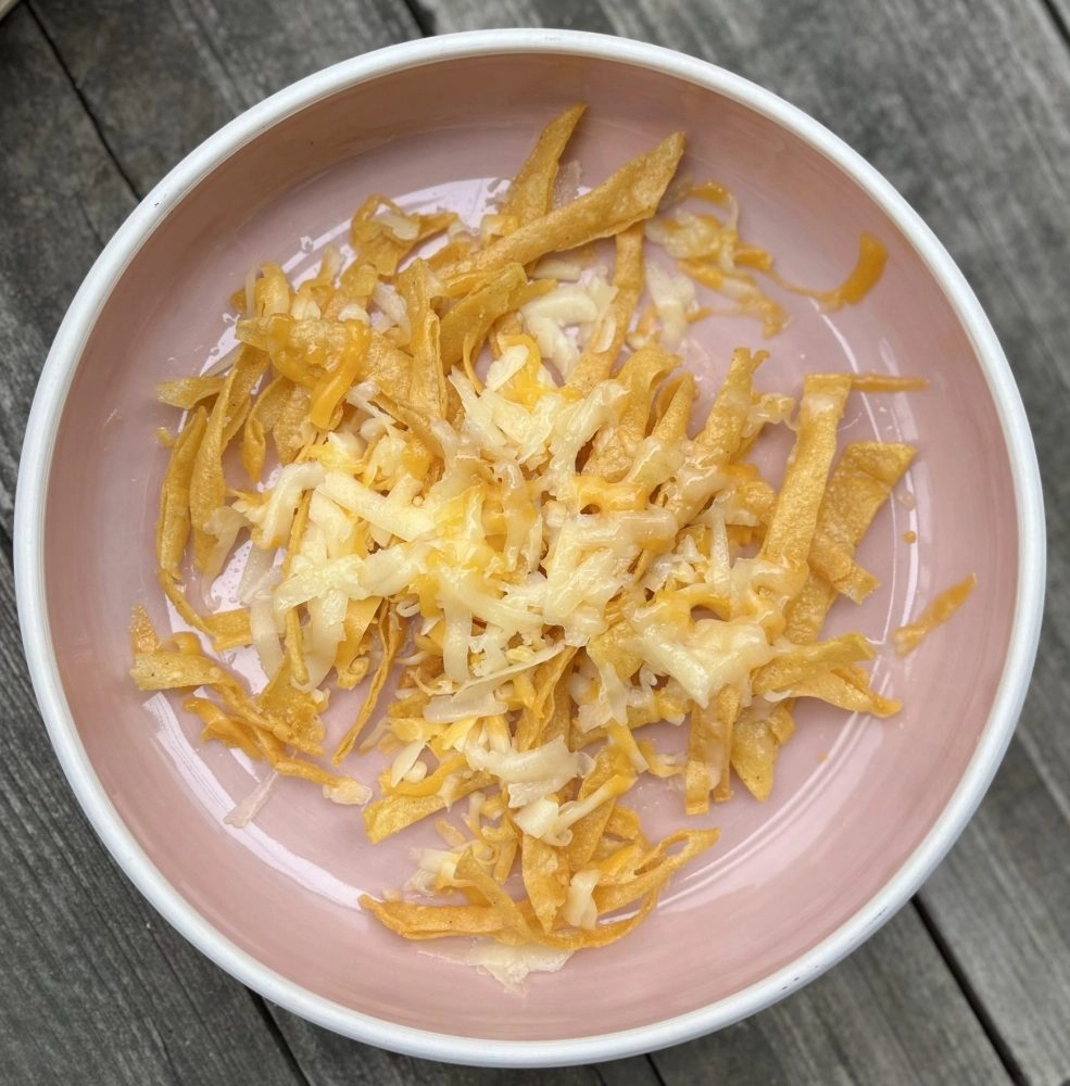 Bottom of soup bowl, tortilla strips. 