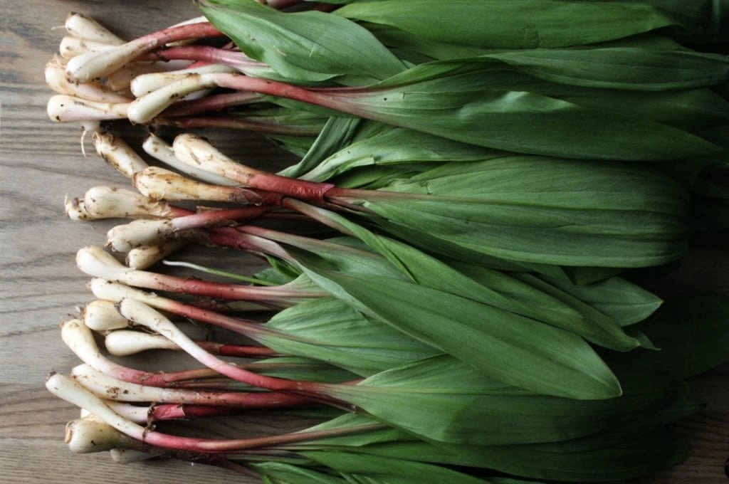 Wild ramps