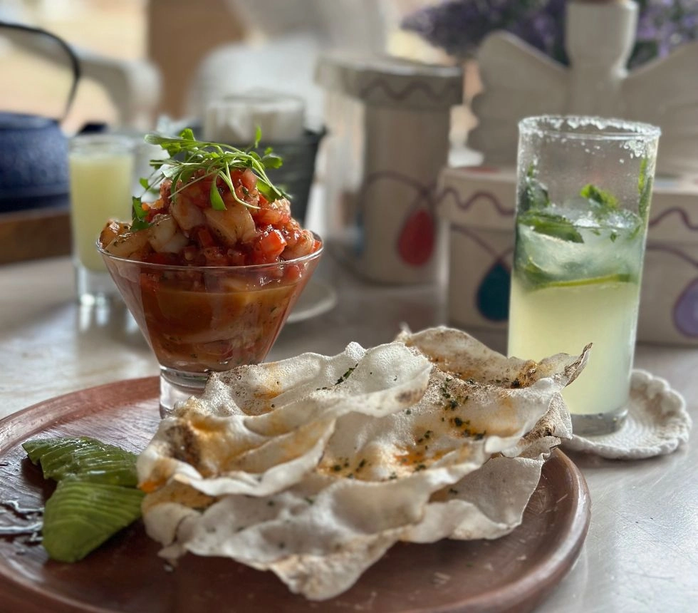 villa bokeh ceviche