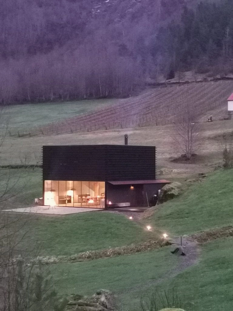 Juvet Hotel in Succession Exterior View