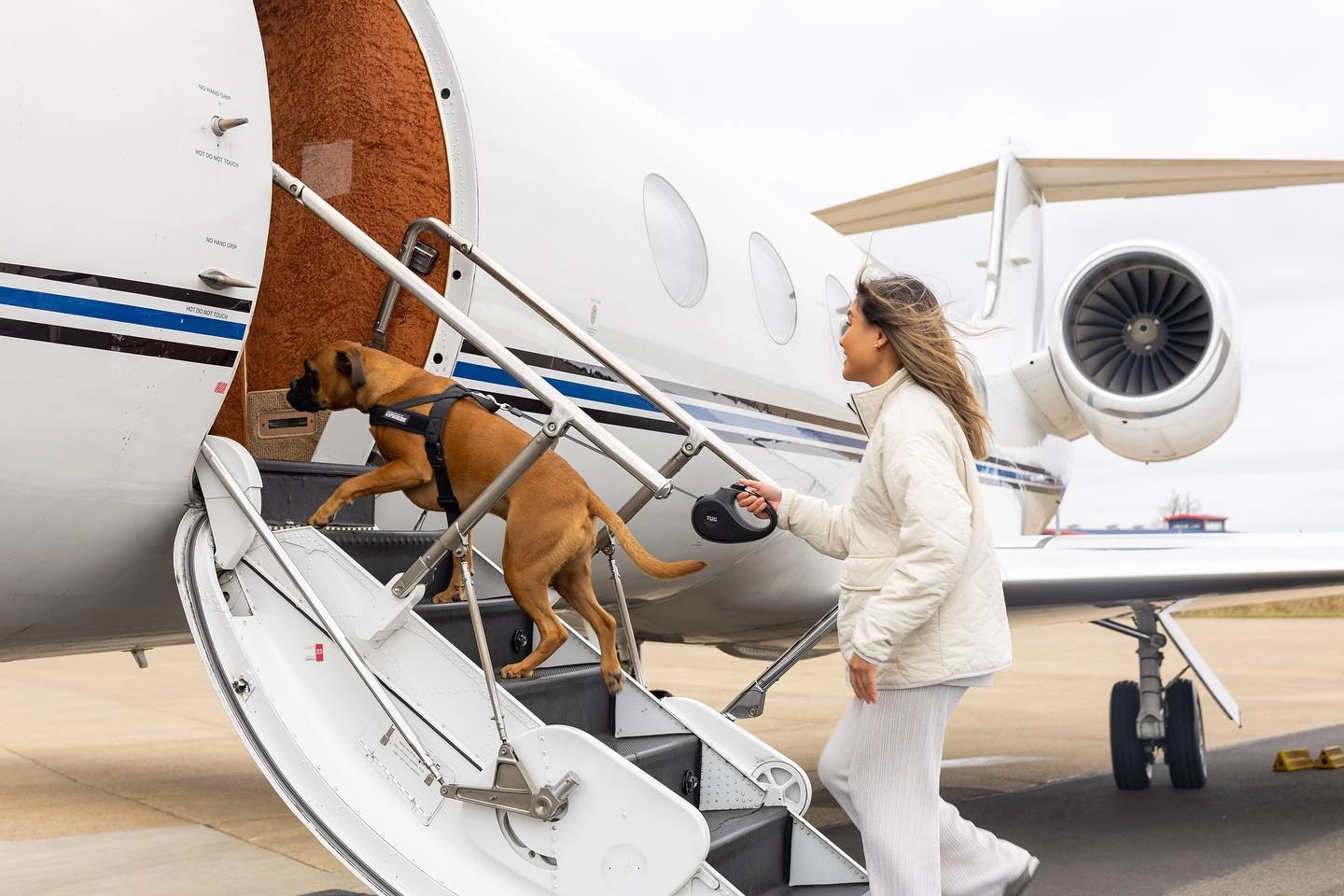 Travel with pets with K9 Jets