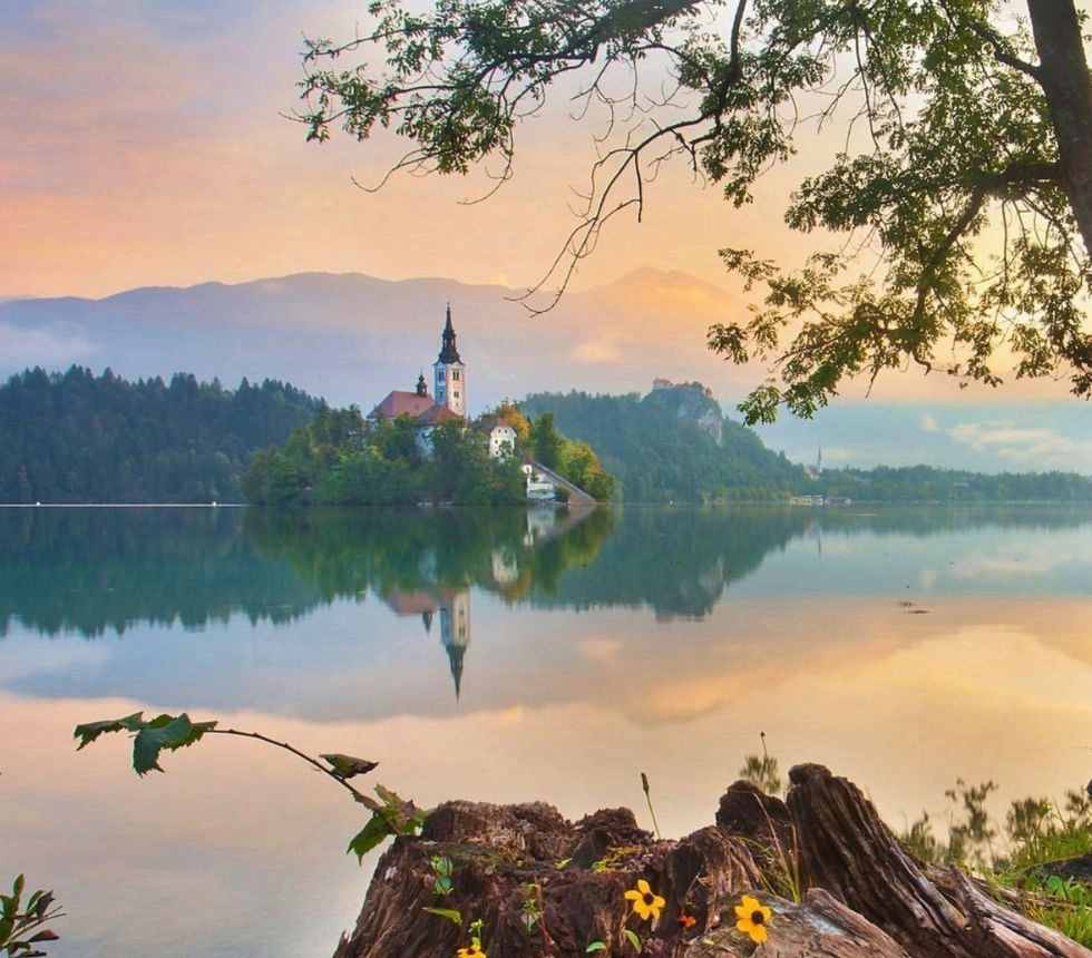Slovenia Bled Island View