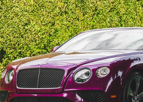 Bentley Hamptons - car shows piece
