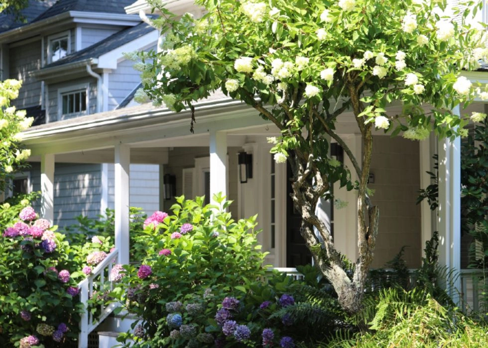 Shou Sugi Ban House Inn