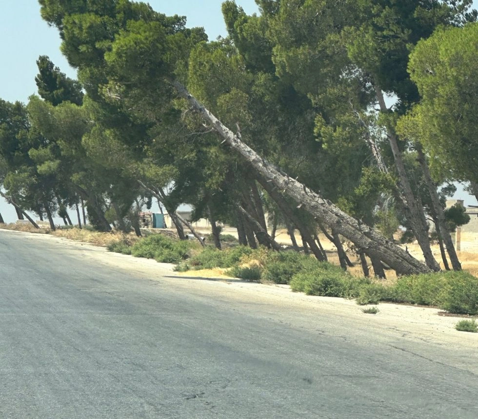 Road in Syria