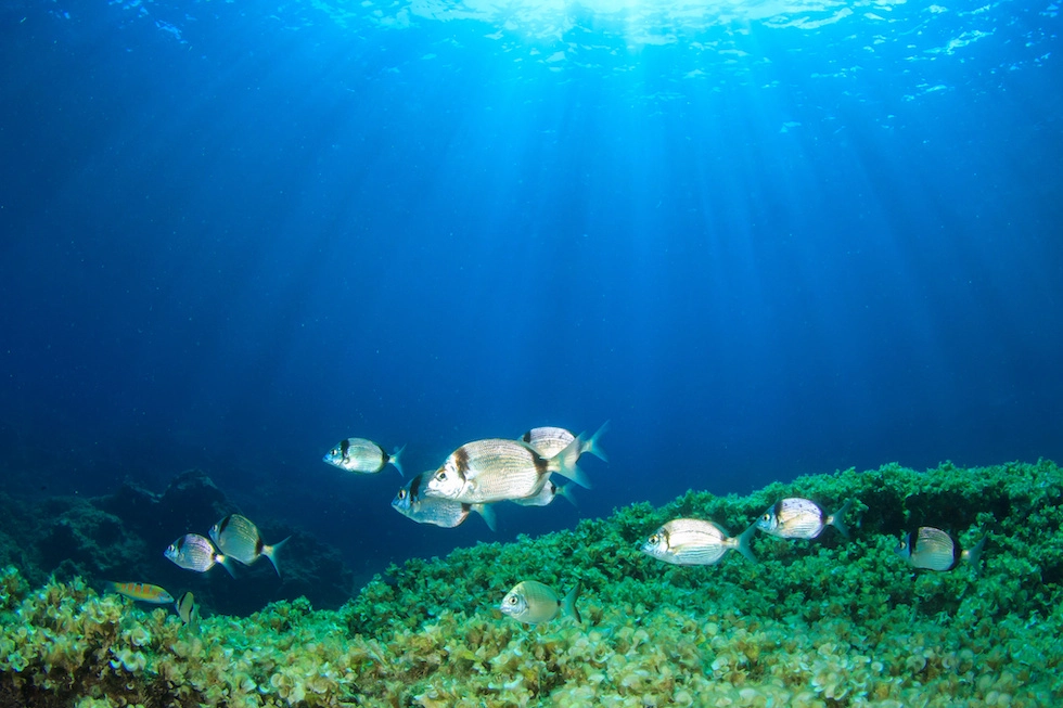 Menorca Enchanting Spanish Island 