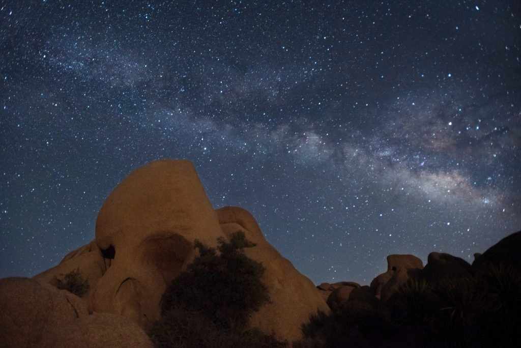 Joshua Tree National Park