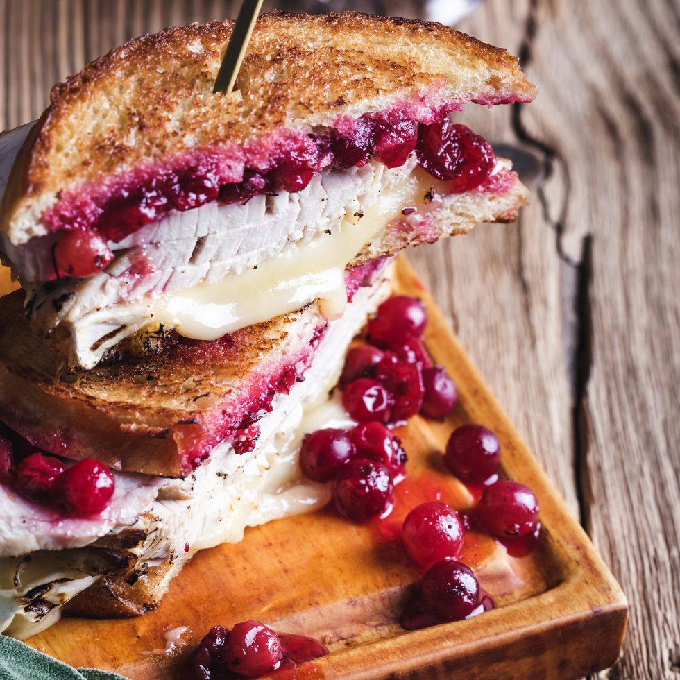Thanksgiving Turkey Sandwich with Brie Cheese and Cranberry Sauce