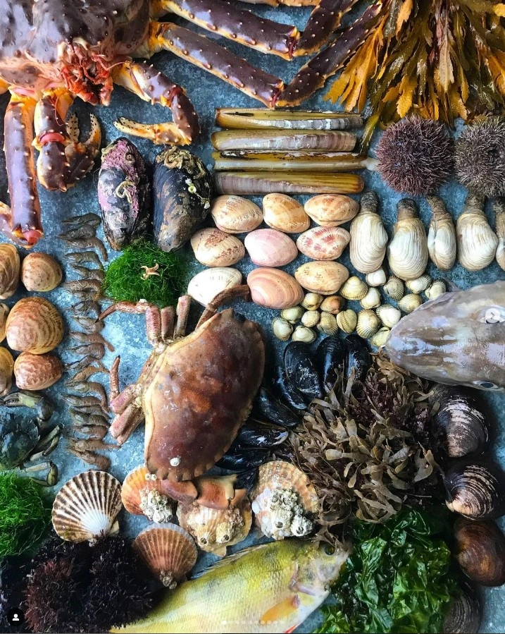 NOMA Sticks Around - And Pops Up in Japan - Galavante Travel & Lifes