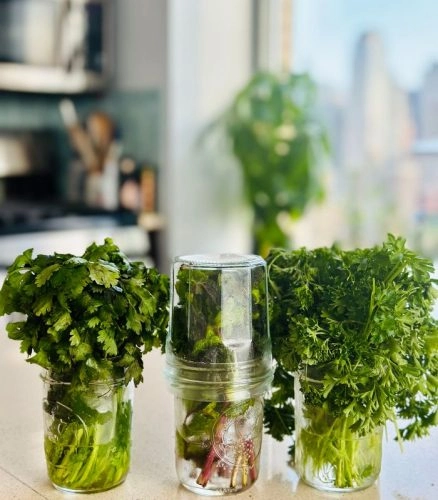Herb storage mason jars