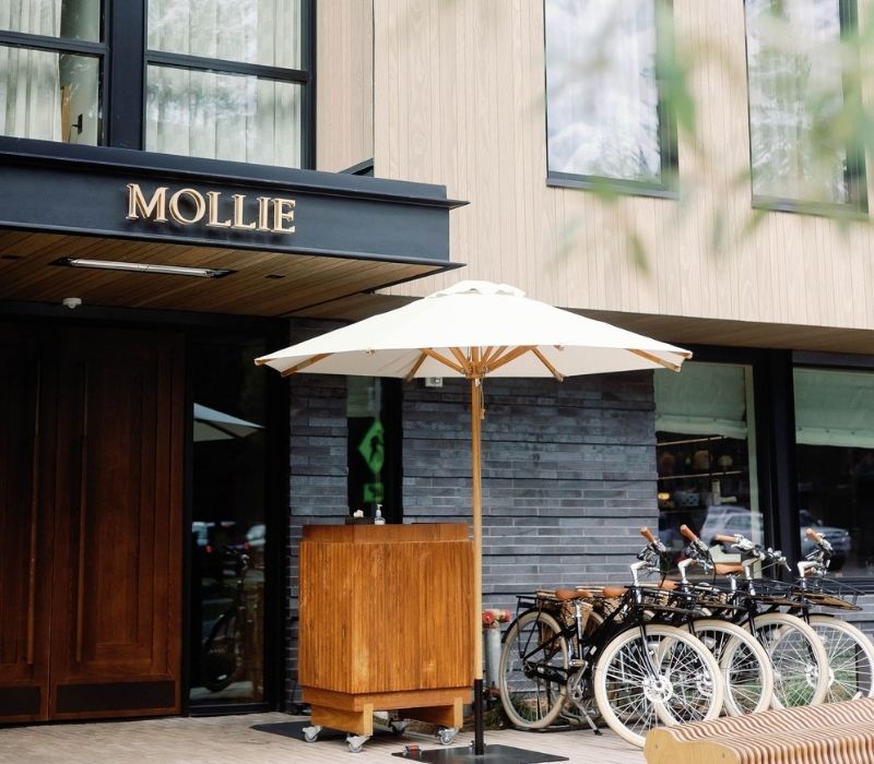 The Mollie