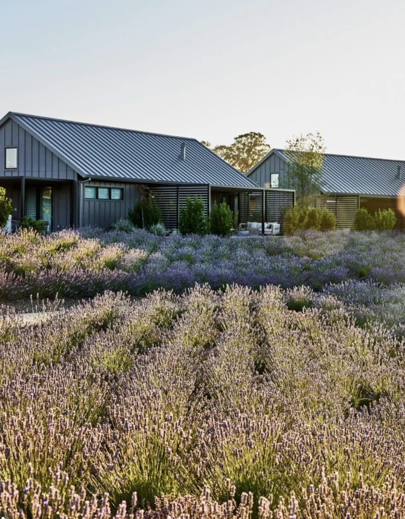 Stanly Ranch Napa, Auberge Resorts Napa Valley, Napa vineyard hotels, luxury wine country resorts Napa, California wine tourism