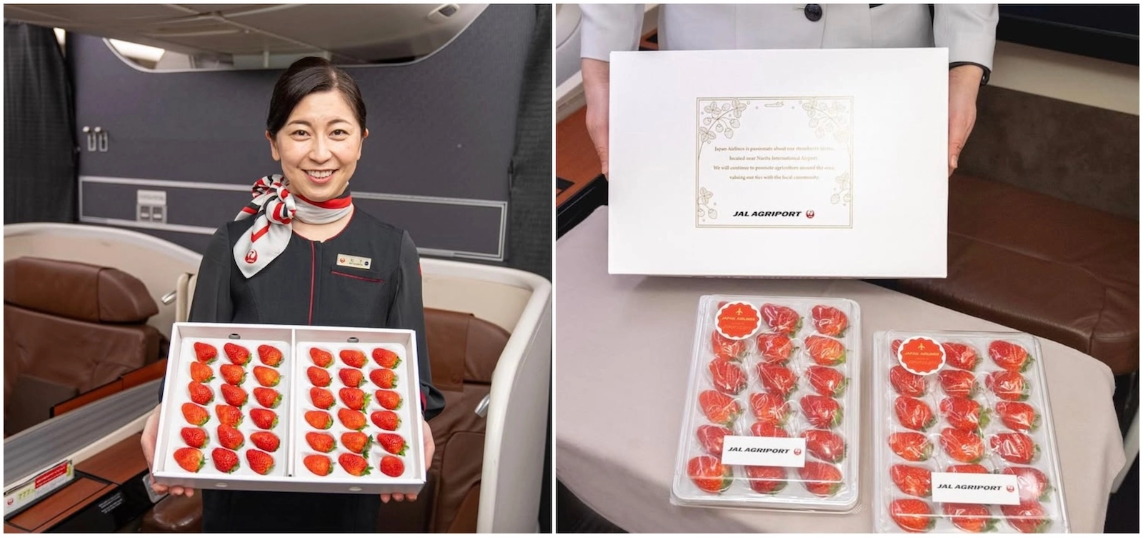 Strawberry season in Japan. JAL's Agriport in Tokyo