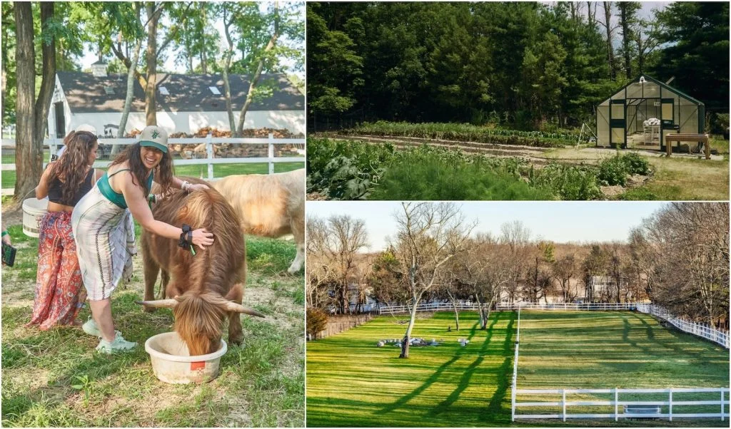 Sweet Honey Farm, NJ