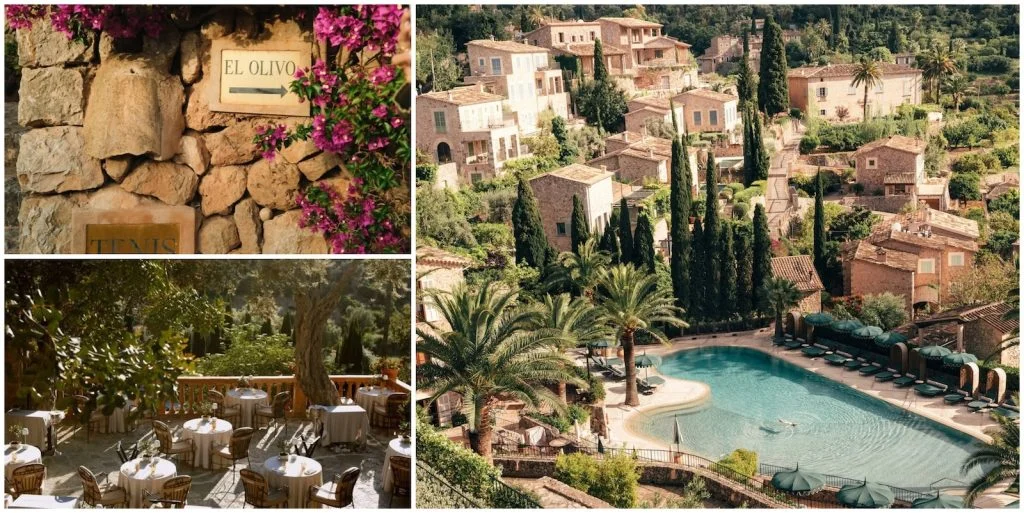 Restaurants in Mallorca: El Olivo