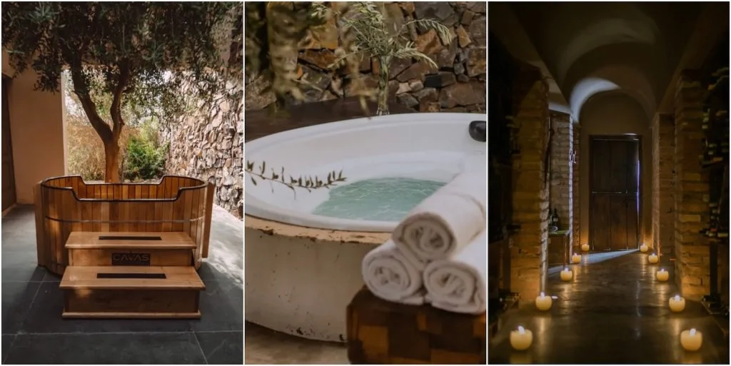 Luxury in Argentina's Wine Country: Awasi Mendoza