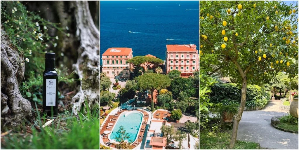 Eight Luxury Hotels that Make Their Own Olive Oil: Grand Hotel Excelsior Vittoria