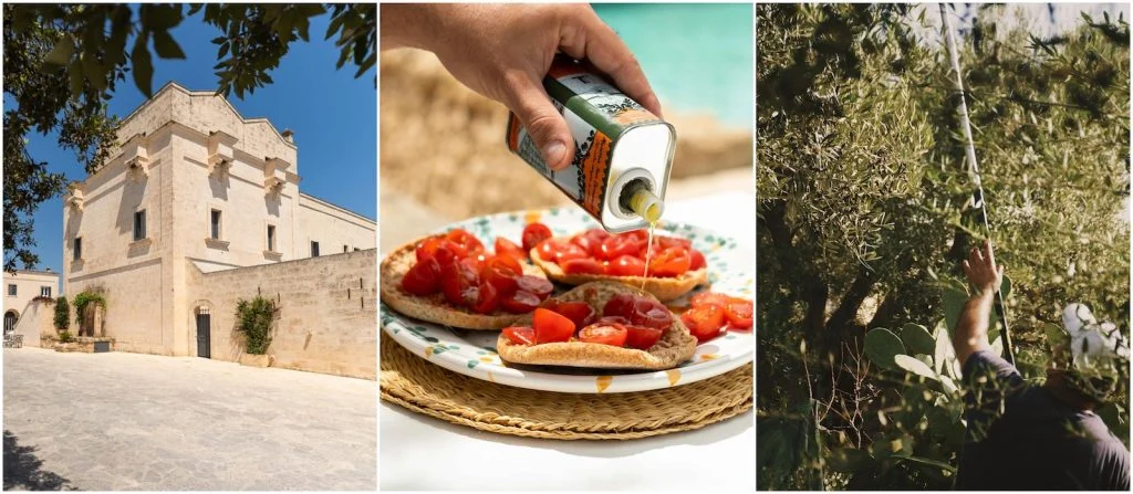 Eight Luxury Hotels that Make Their Own Olive Oil: Masseria San Domenico