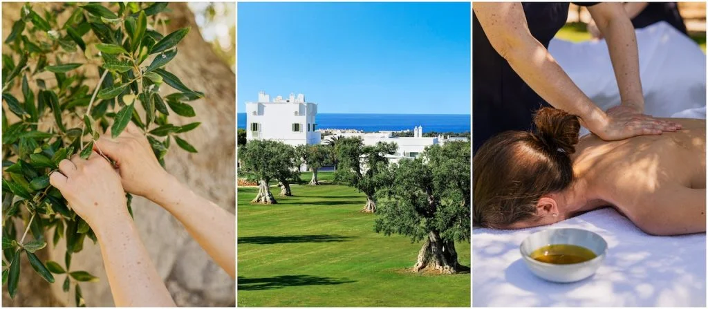 Eight Luxury Hotels that Make Their Own Olive Oil: Masseria Terre Maizza