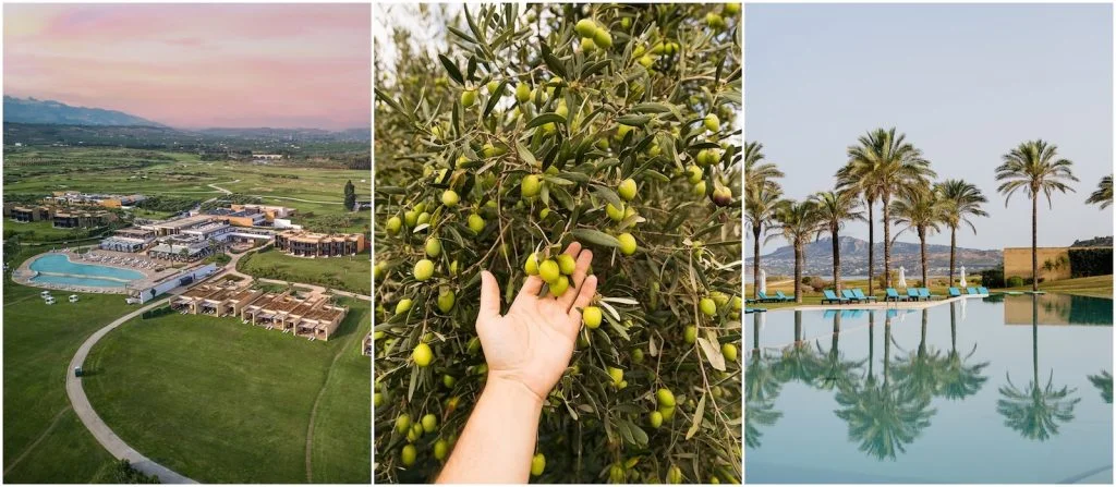 Eight Luxury Hotels that Make Their Own Olive Oil: Verdura Resort Sicily