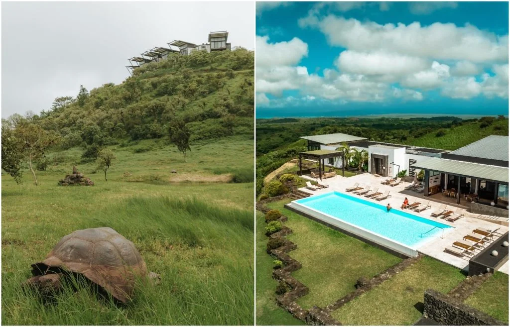 Remote destinations: Pikaia Lodge